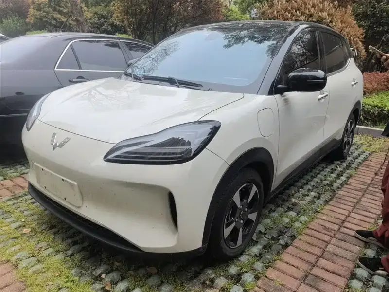 Wuling Bingo PLUS