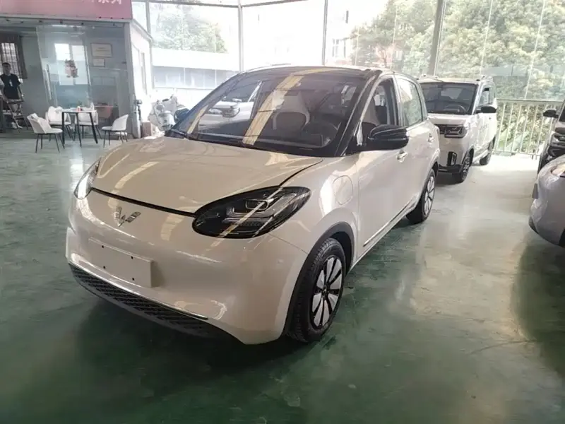 Wuling Bingo