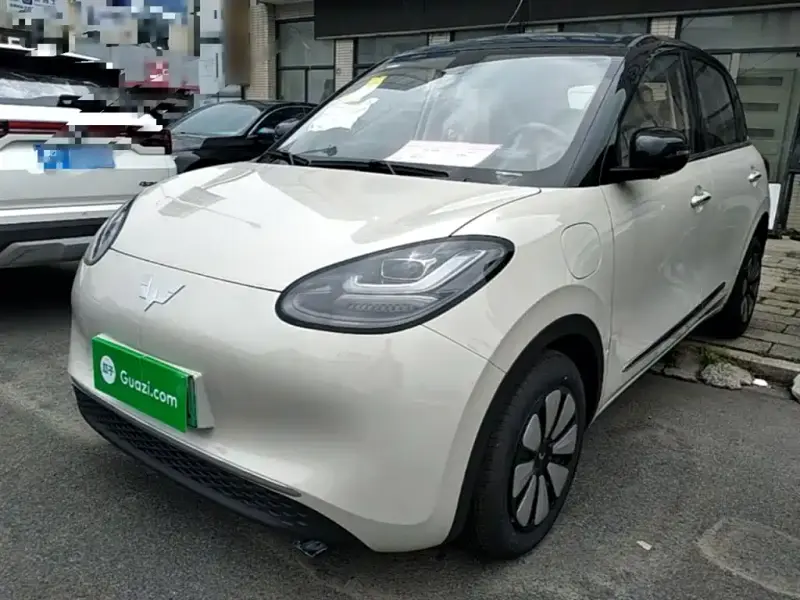 Wuling Bingo