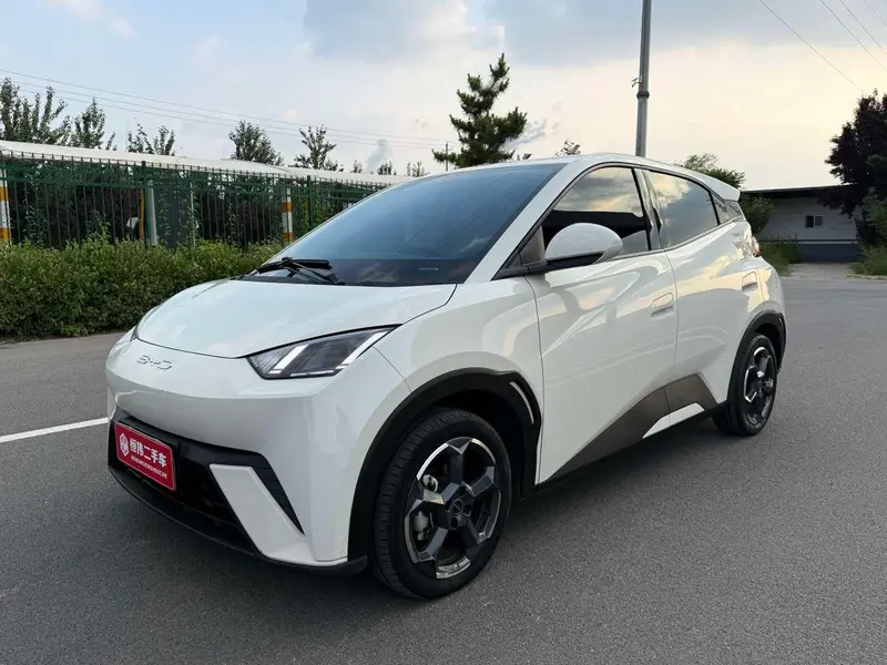 BYD Seagull