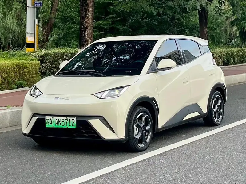 BYD Seagull