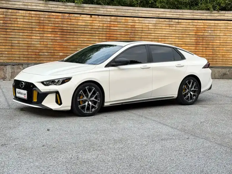 GAC Motor Empow (Shadow Leopard)