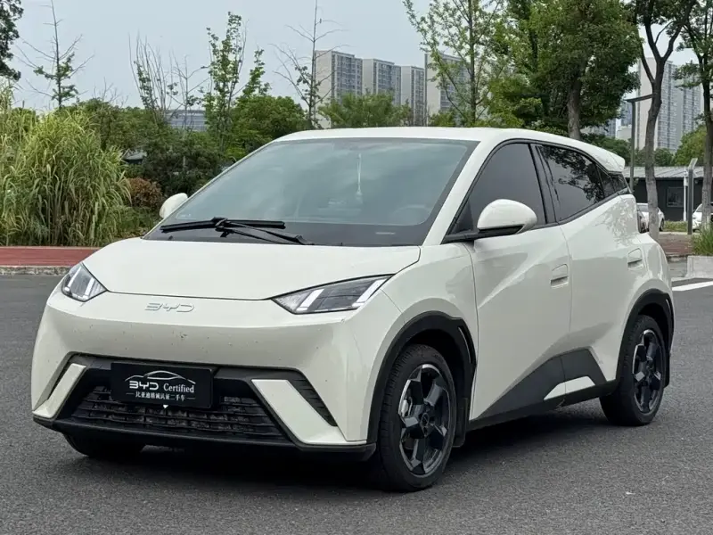BYD Seagull