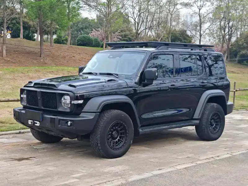Tank 300