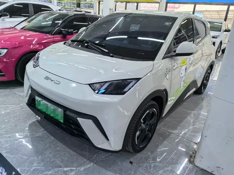 BYD Seagull