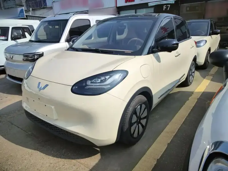 Wuling Bingo