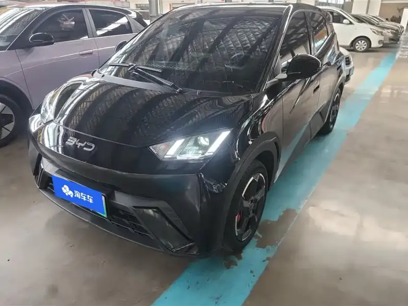 BYD Seagull