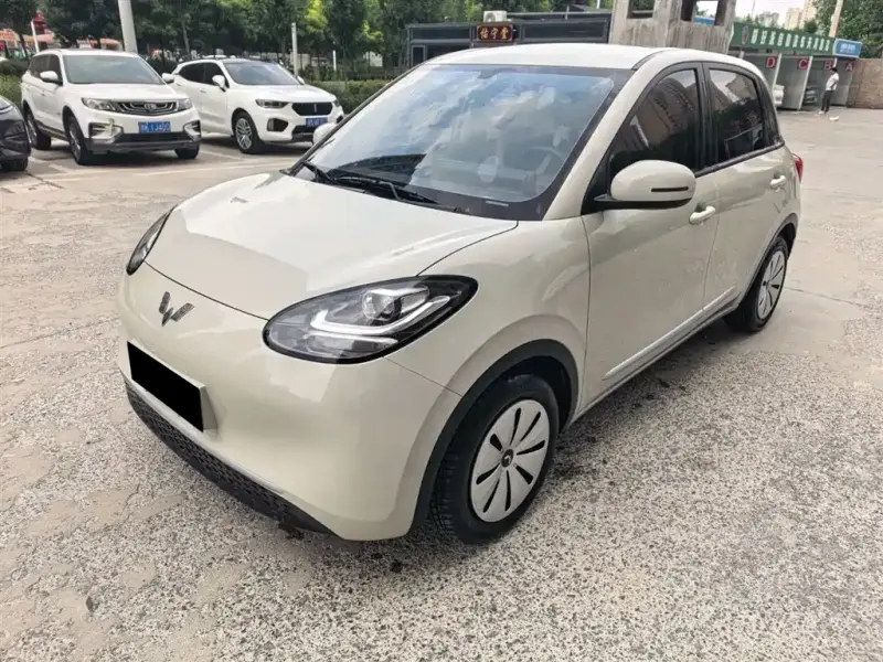 Wuling Bingo
