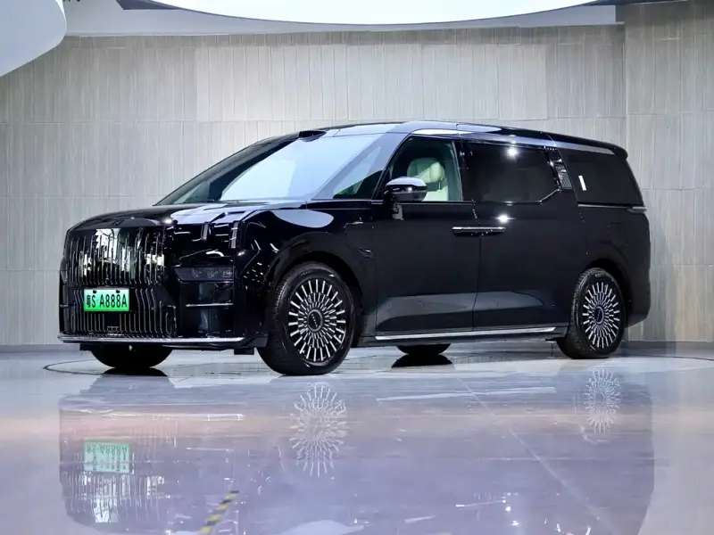 Zeekr 009