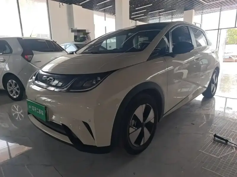 BYD Dolphin
