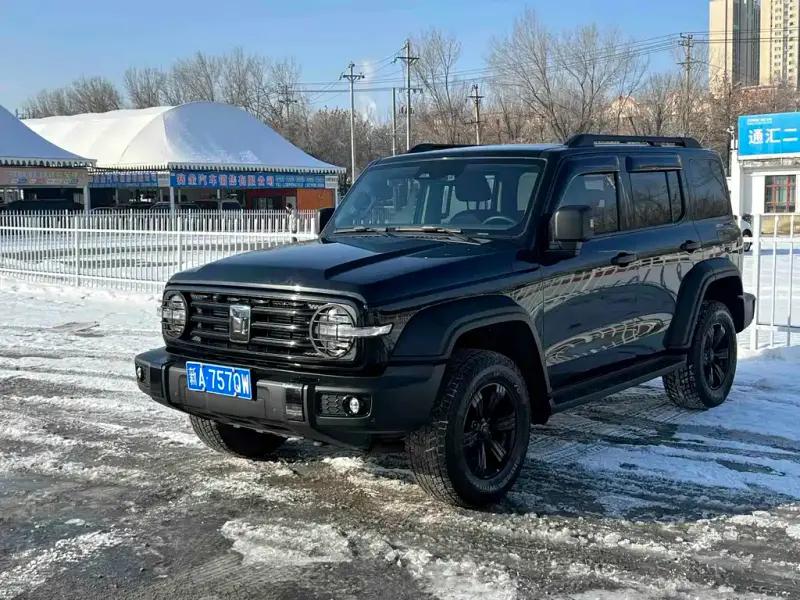 Tank 300