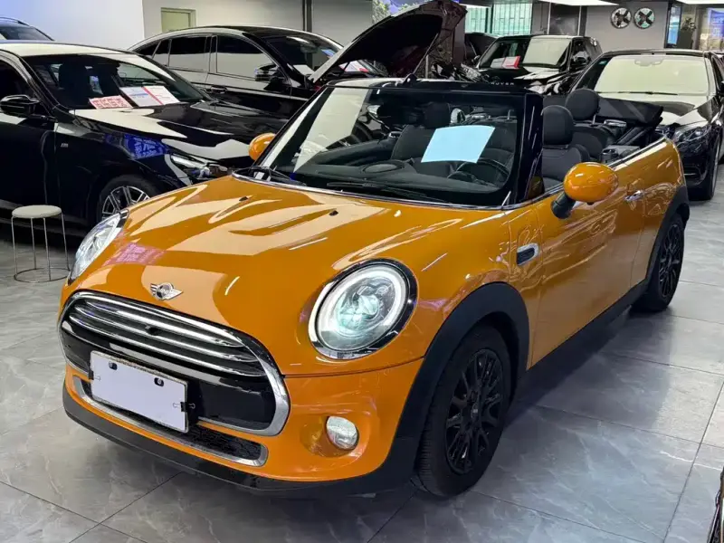 MINI Mini