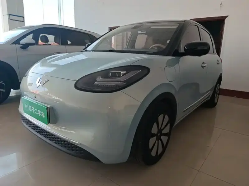 Wuling Bingo