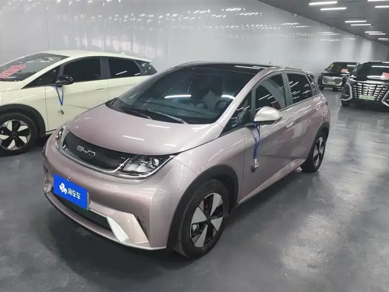 BYD Dolphin