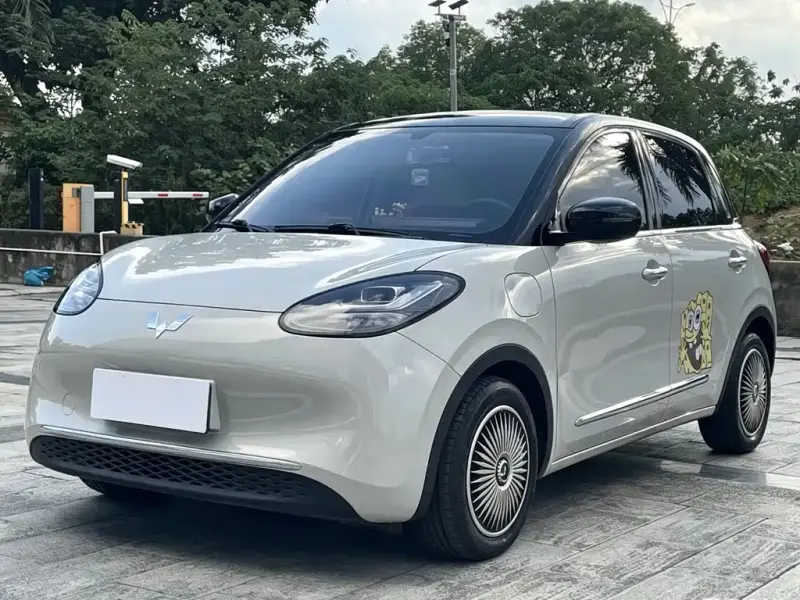 Wuling Bingo