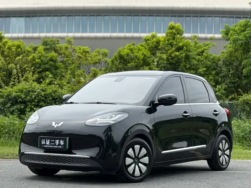 Wuling Bingo