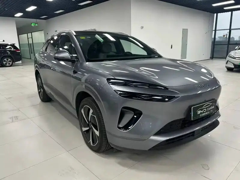 BYD Sea Lion 06