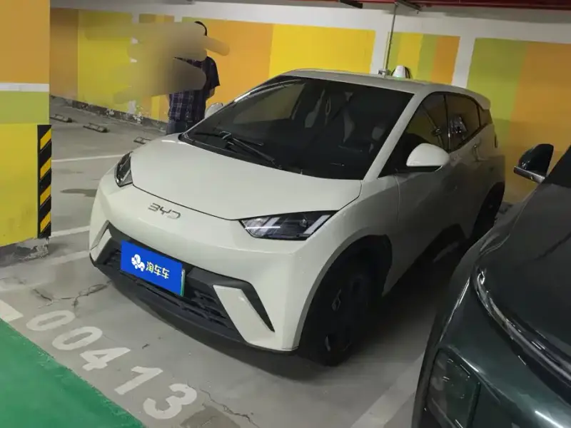 BYD Seagull