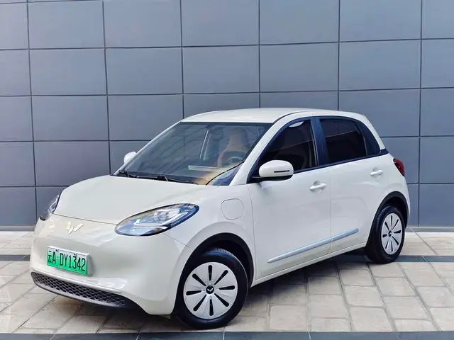 Wuling Bingo