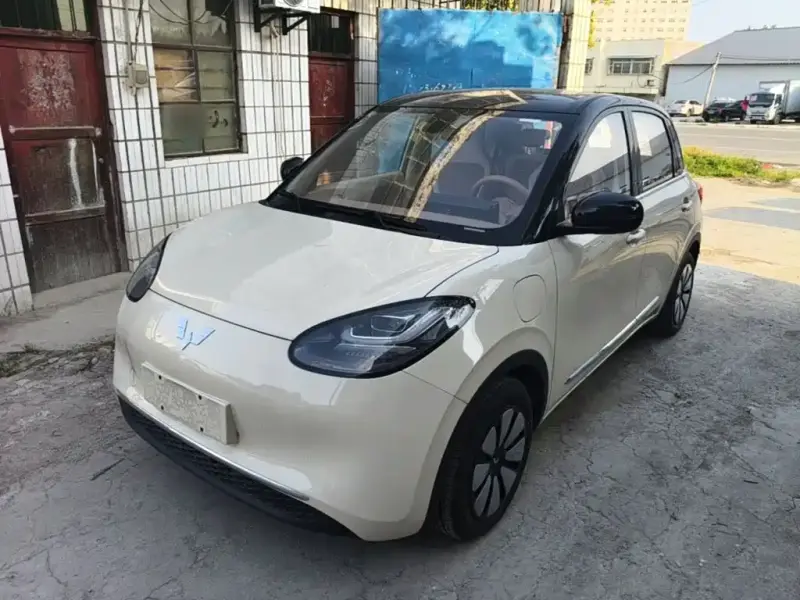 Wuling Bingo