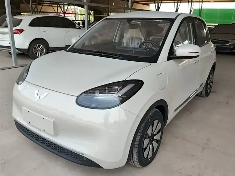 Wuling Bingo