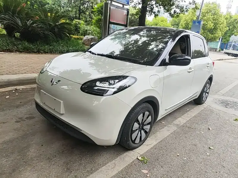 Wuling Bingo
