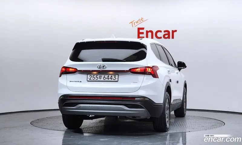 Hyundai Santa Fe (Santafe)