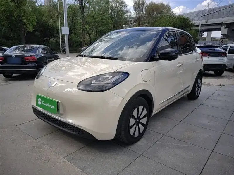 Wuling Bingo