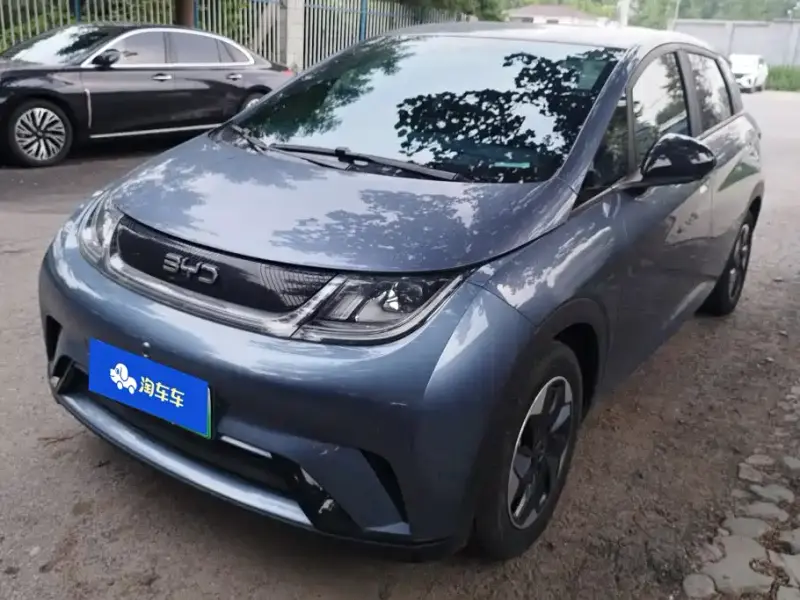 BYD Dolphin