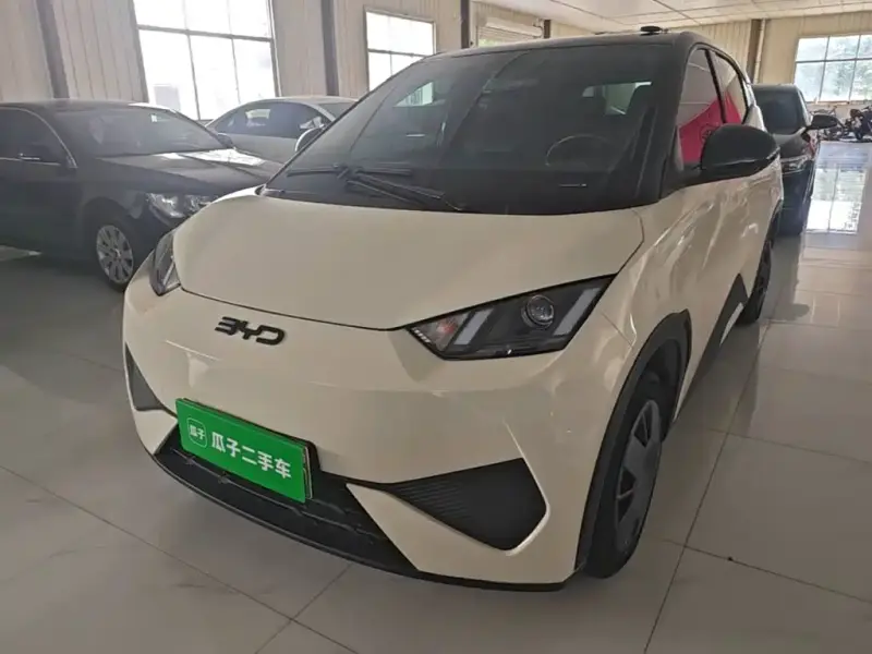 BYD Seagull