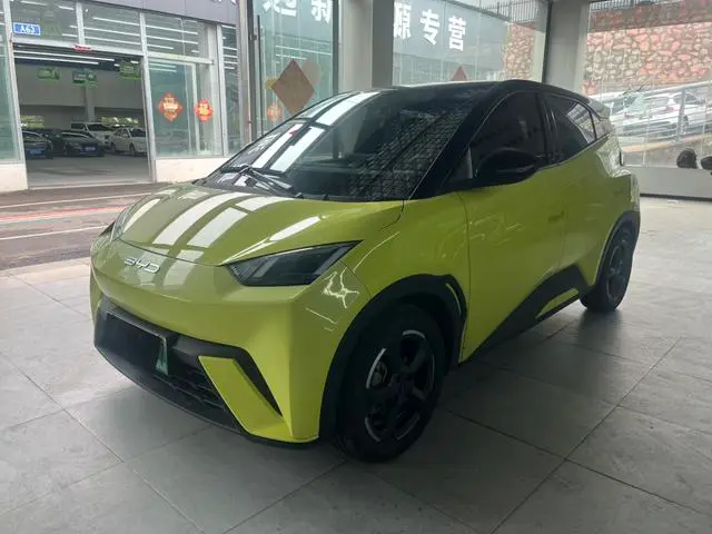 BYD Seagull