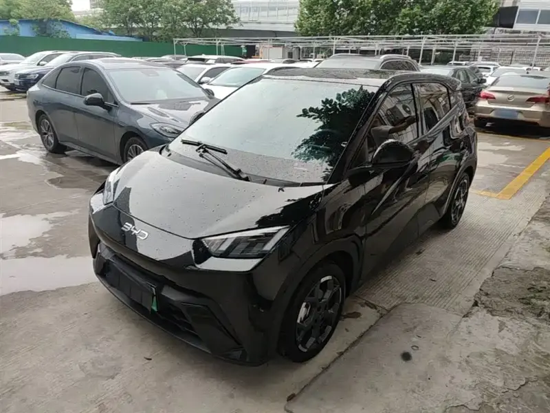 BYD Seagull