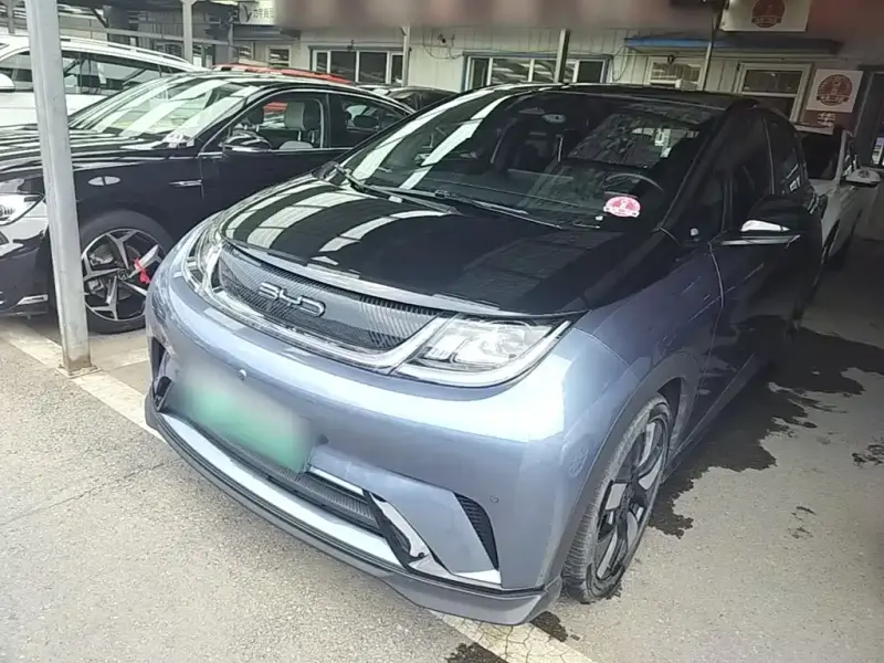 BYD Dolphin
