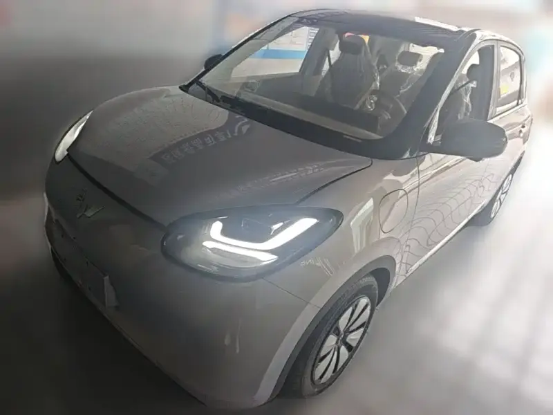 Wuling Bingo