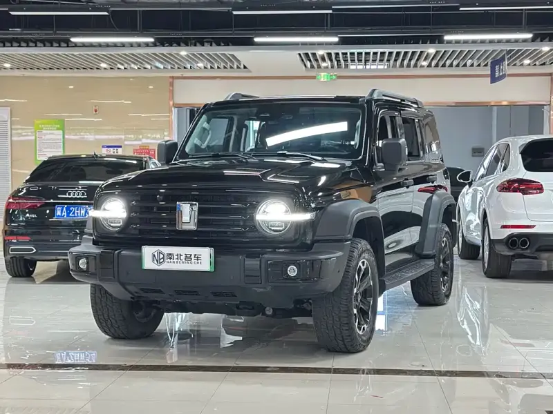 Tank 300