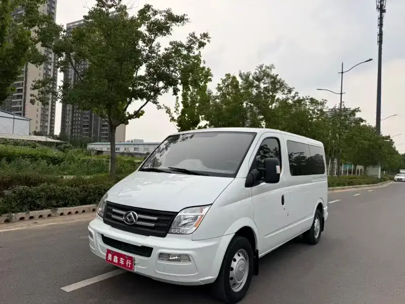 Maxus V80