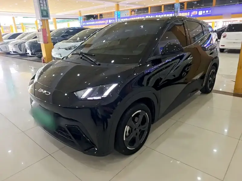 BYD Seagull