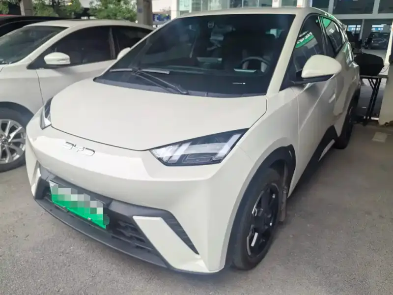BYD Seagull