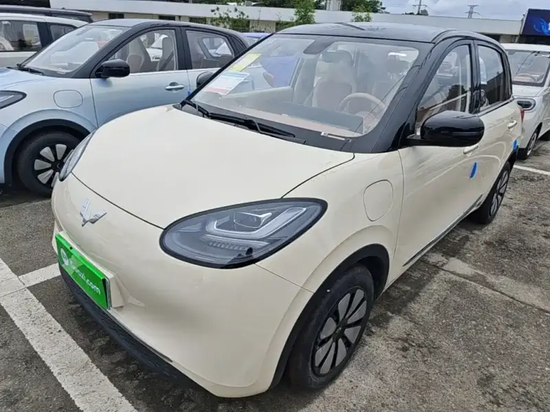 Wuling Bingo