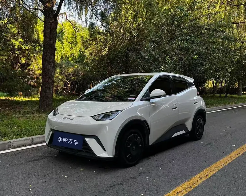 BYD Seagull