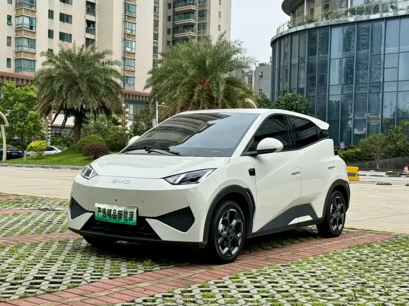 BYD Seagull