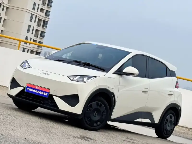 BYD Seagull