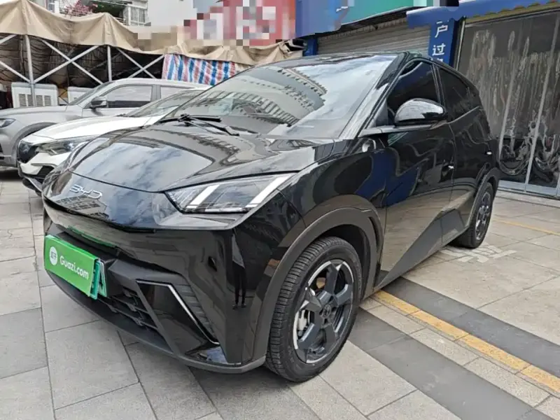 BYD Seagull