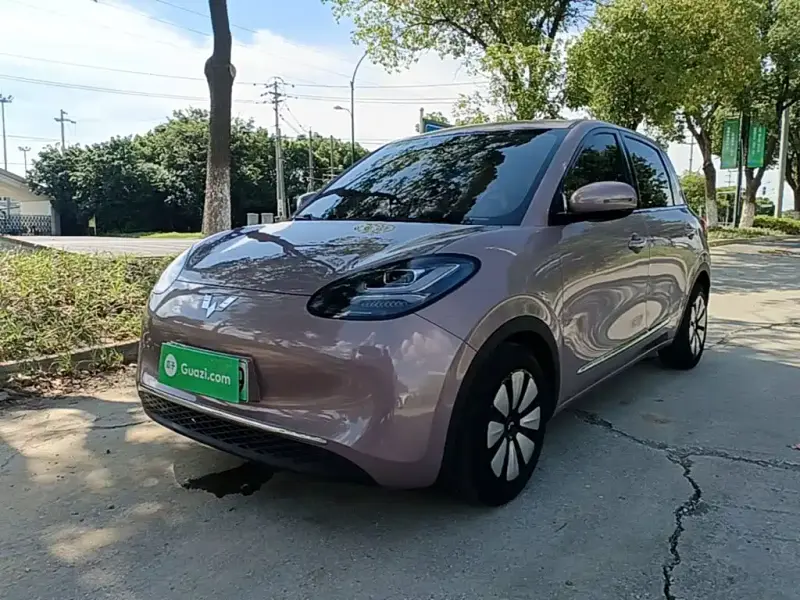 Wuling Bingo