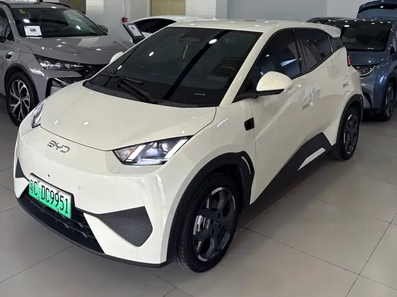 BYD Seagull