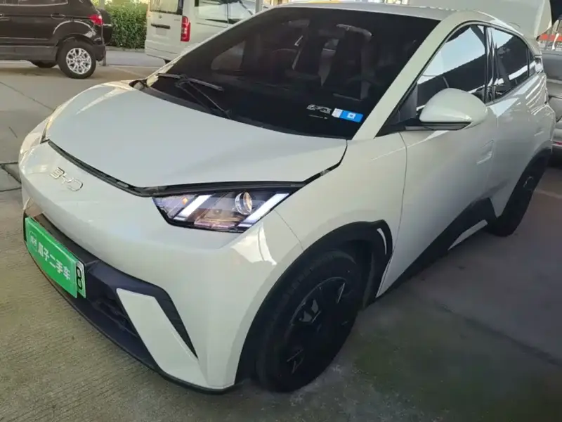 BYD Seagull