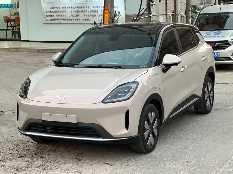 Wuling Bingo S