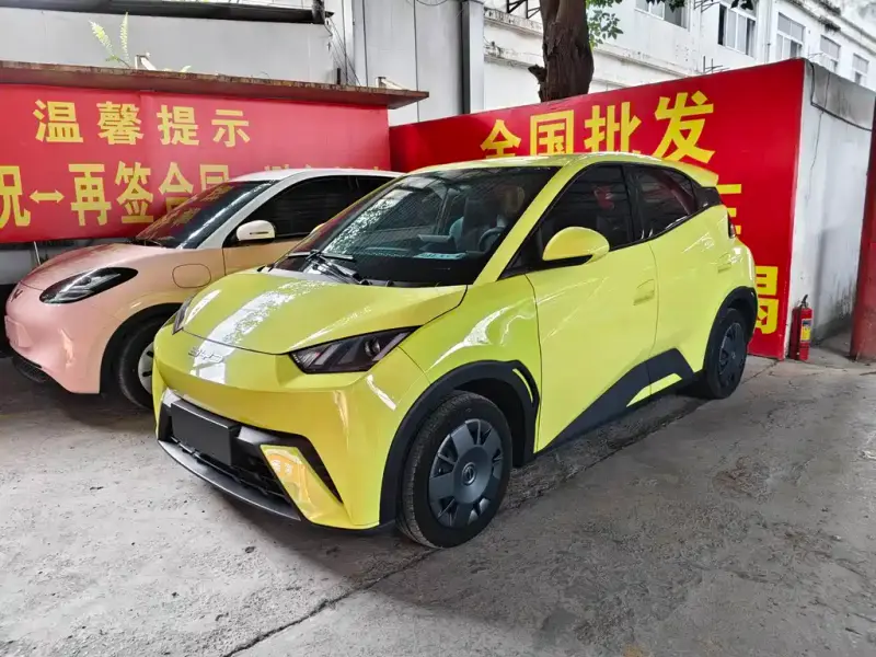 BYD Seagull