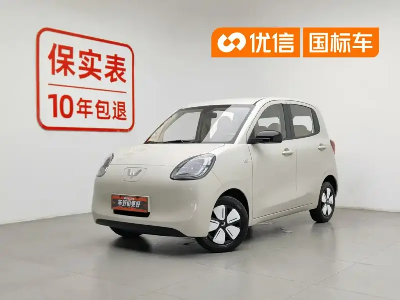 Wuling Hongguang Mini EV (MINIEV)