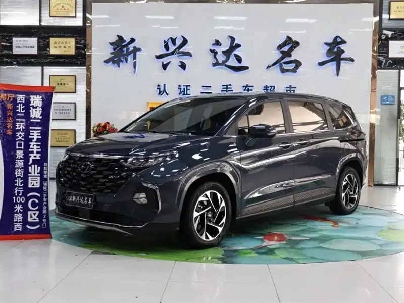 Hyundai Custo
